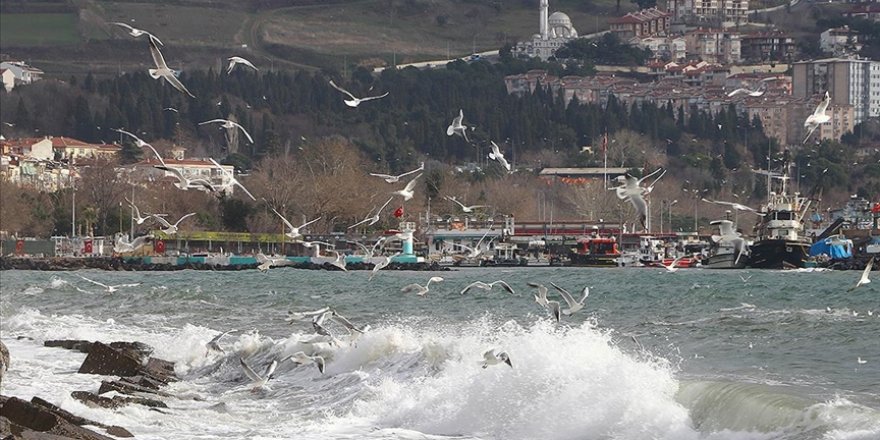 Marmara Denizi'nde lodos 3 gündür deniz ulaşımını olumsuz etkiliyor