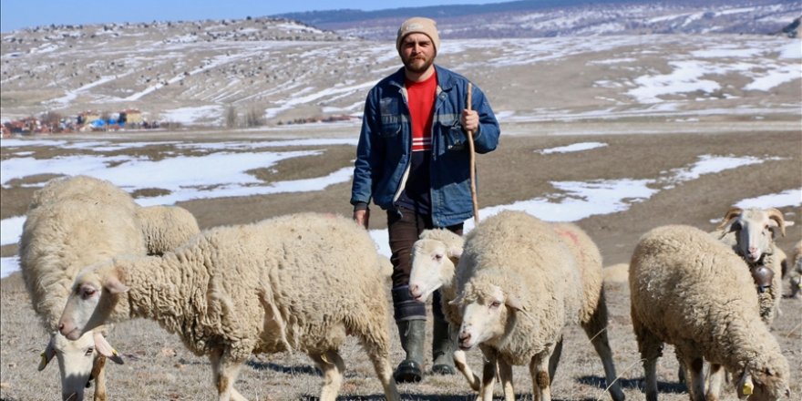 Sevdiği işi yapmak için avukatlık yerine çobanlığı tercih etti