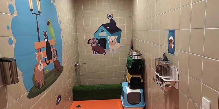 İstanbul Havalimanı’nda 'Evcil Hayvan Odası' oluşturuldu