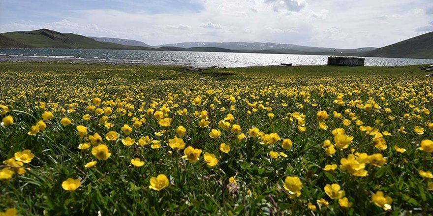 Nevruz'un habercisi son cemre bugün toprağa düşüyor