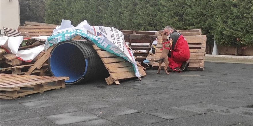 Bahçelievler’de arama kurtarma köpekleriyle deprem tatbikatı yapıldı