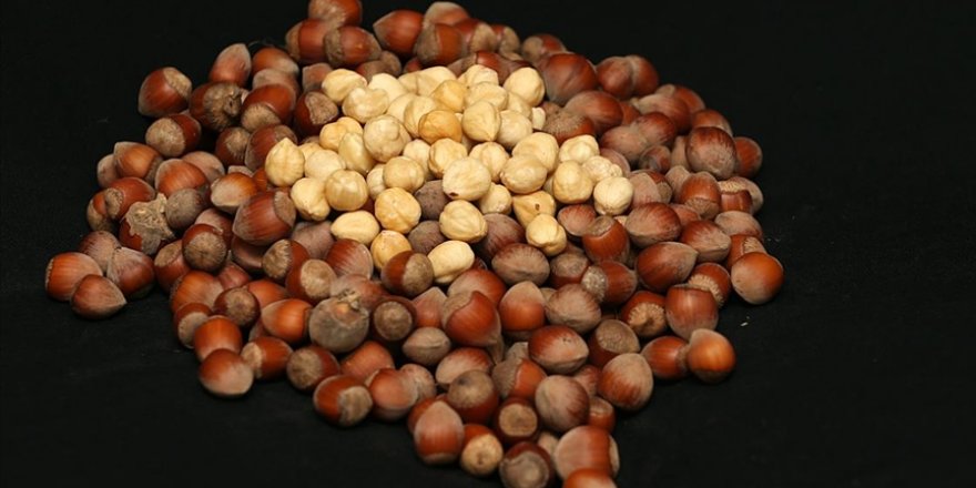 Trabzon'dan 2021'in ilk iki ayında 40 ülkeye fındık ihraç edildi