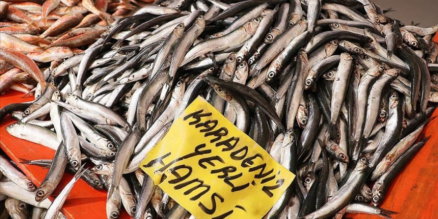 Karadeniz'de en kötü sezon