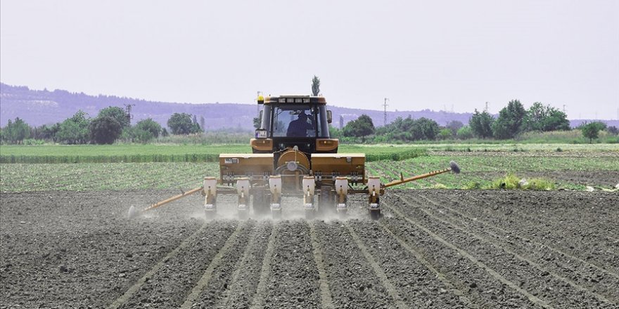 Tarımsal destek ödemeleri yarın başlıyor