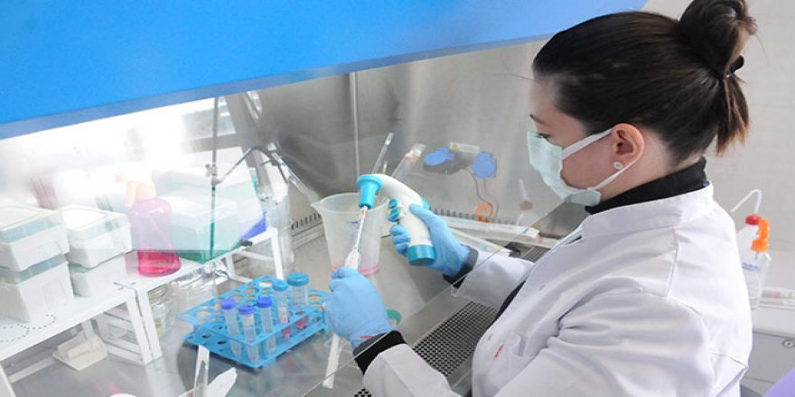 Kanser hastalarına umut veren çalışma