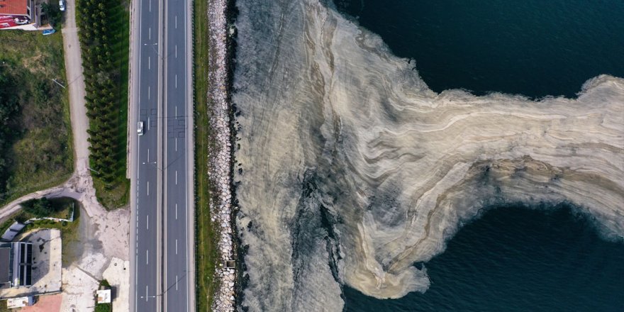 İzmit Körfezi'nde deniz salyası beyaz tabaka oluşturdu