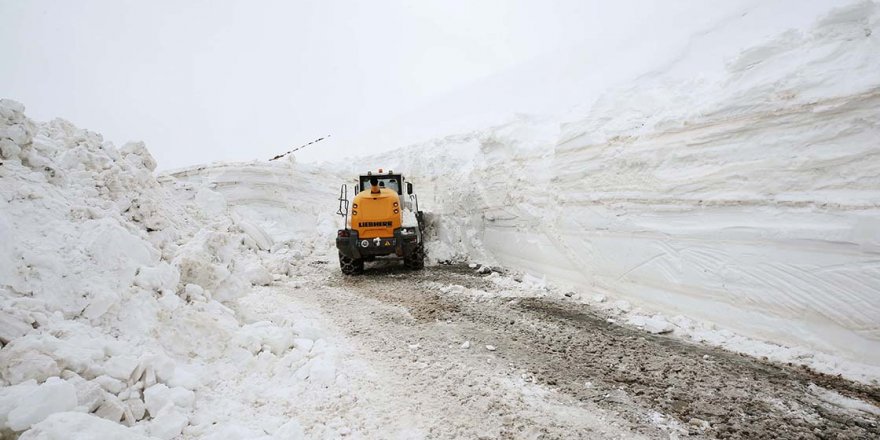 Muş nisan ayında karlar altında