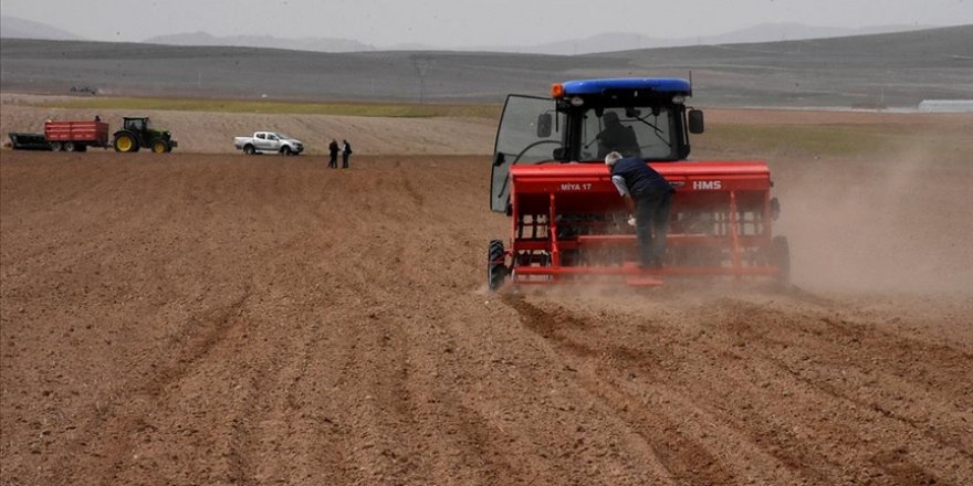 Bozkırın toprakları nohut tohumlarıyla buluştu