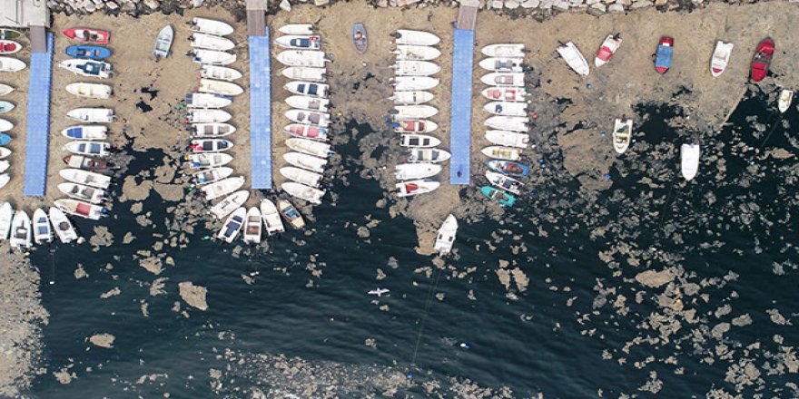 Gemlik sahili beyaza büründü