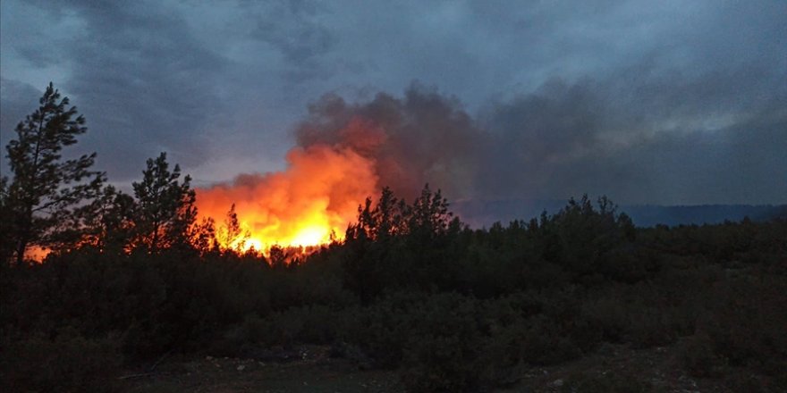 Muğla'nın Menteşe ve Kavaklıdere ilçelerinde çıkan orman yangınları söndürüldü