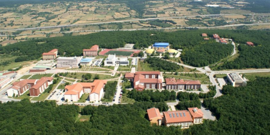 31 öğretim üyesi alacak