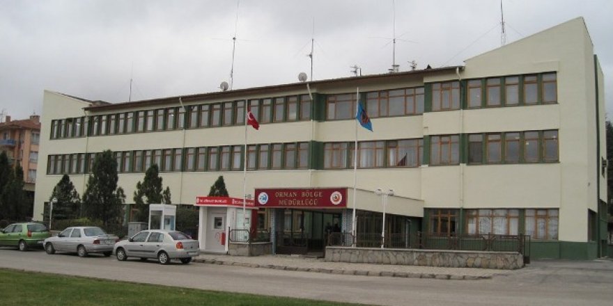 Orman Bölge Müdürlüğü böyle ilan verdi