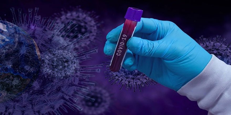 Türkiye mutantı var mı?