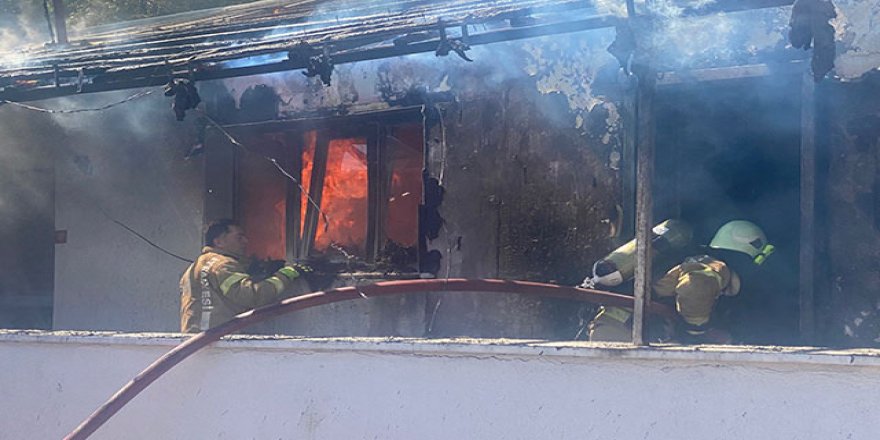 Maltepe'de can pazarı