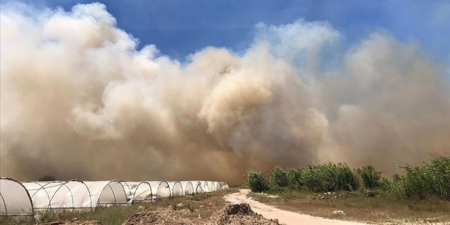 Antalya'da sazlık alanda çıkan yangın kontrol altına alındı