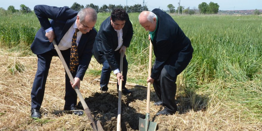"HDP için değil şehitler için fidan diktik"