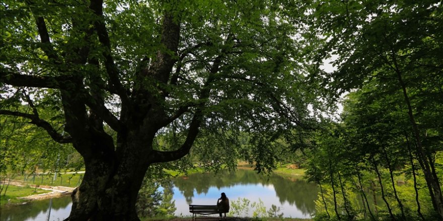Domaniç Dağlarında ilkbahar güzelliği