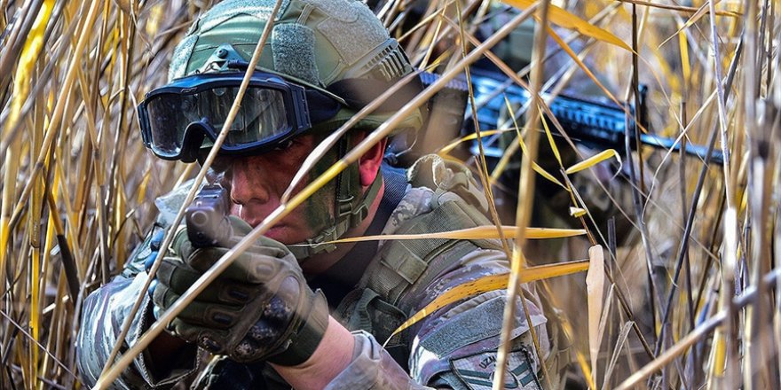2 PKK/YPG'li terörist etkisiz hale getirildi