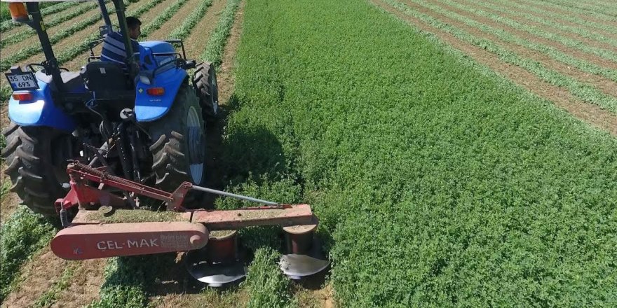 Tarım İşletmesi Müdürlüğü duyurdu