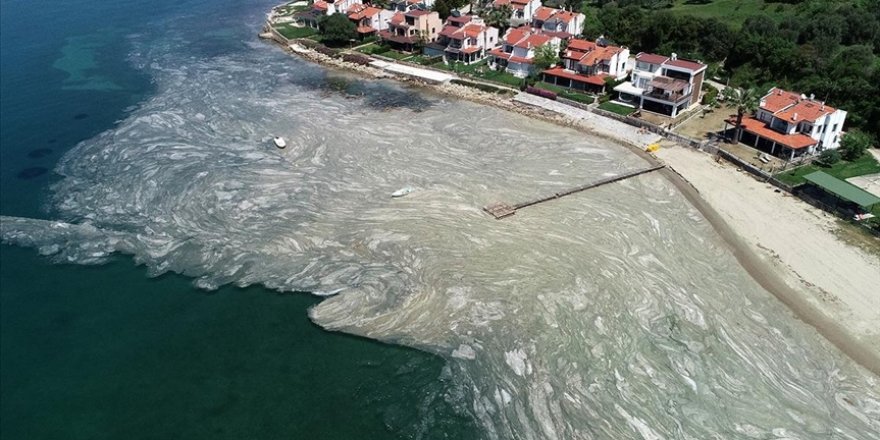 Bakanı Kurum: Müsilaja ilişkin alınacak tedbirlerle ilgili ortak bir çalışma yürütüyoruz