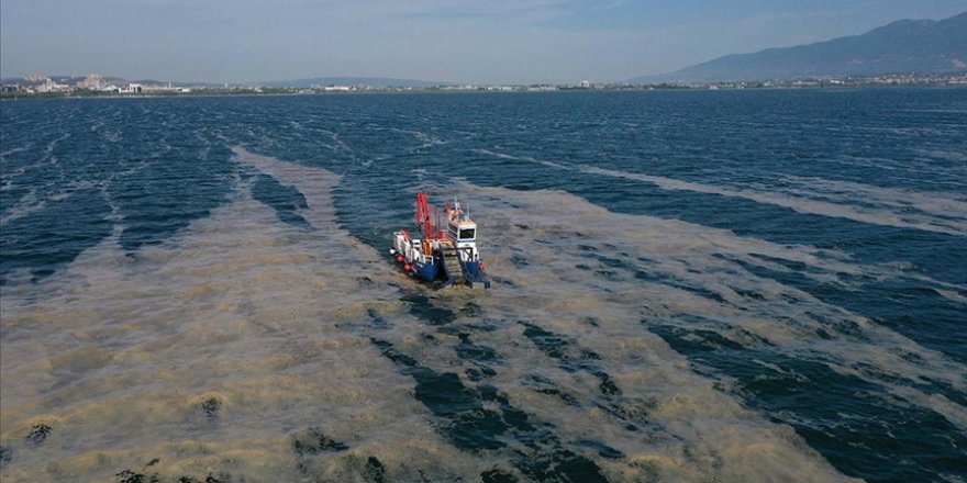 İzmit Körfezi'nden 2 ayda 150 ton deniz salyası toplandı