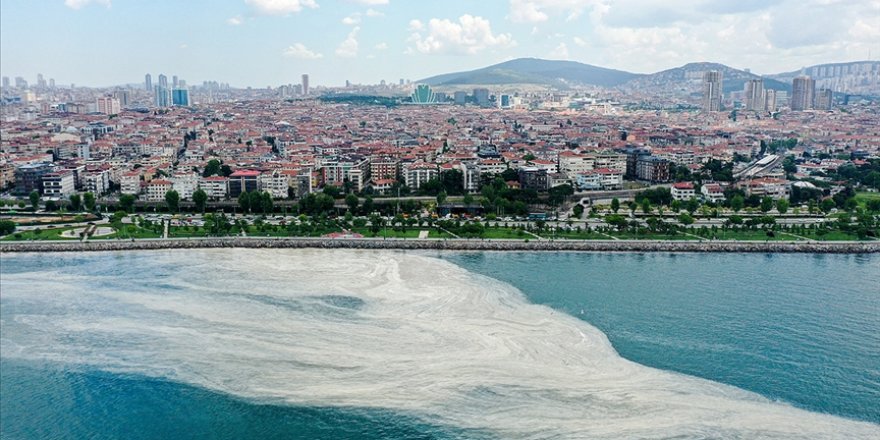 Marmara Denizi'ndeki müsilaj sorununa acil çözüm için bilim insanları YÖK'te toplanacak