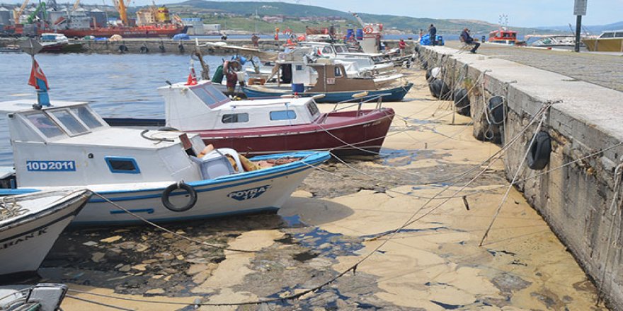 Müsiajdan etkilenen balıkçılara destek