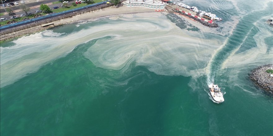 Tekirdağ kıyılarında müsilaj yoğunluğu arttı