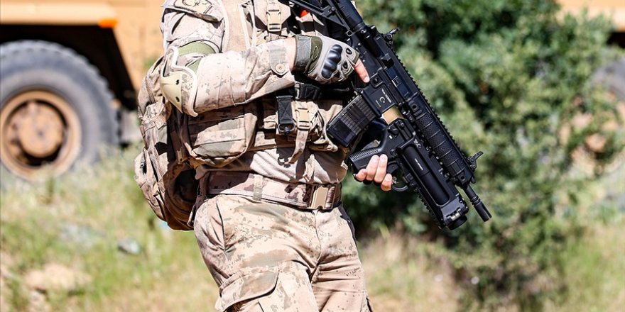 Bitlis'te Eren-11 operasyonları kapsamında 2 terörist etkisiz hale getirildi