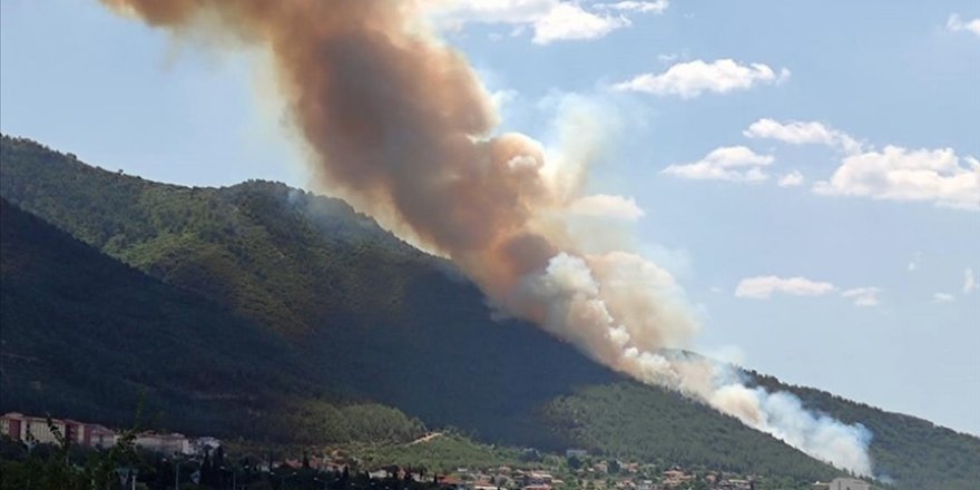 Denizli'de orman yangını çıktı