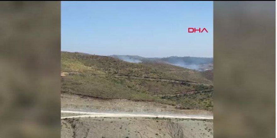 Suriye sınırında orman yangını