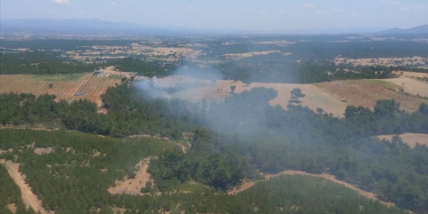 Çanakkale'nin Ezine ilçesindeki ormanlık alanda çıkan yangına müdahale ediliyor