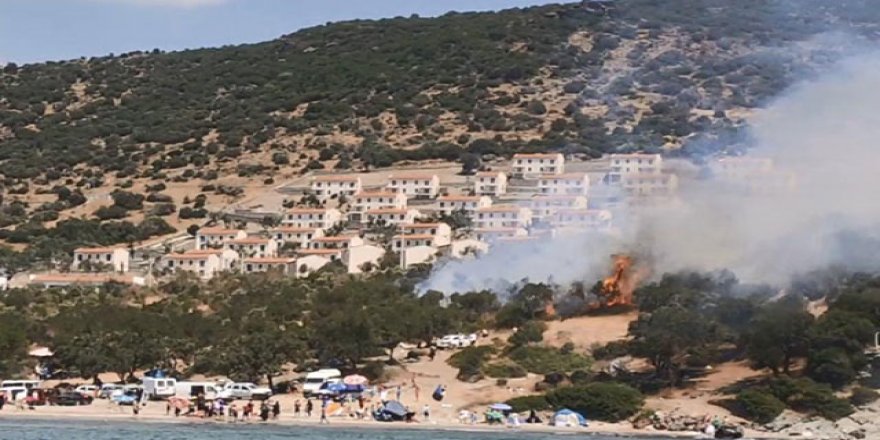 Dikili'de korkutan yangın