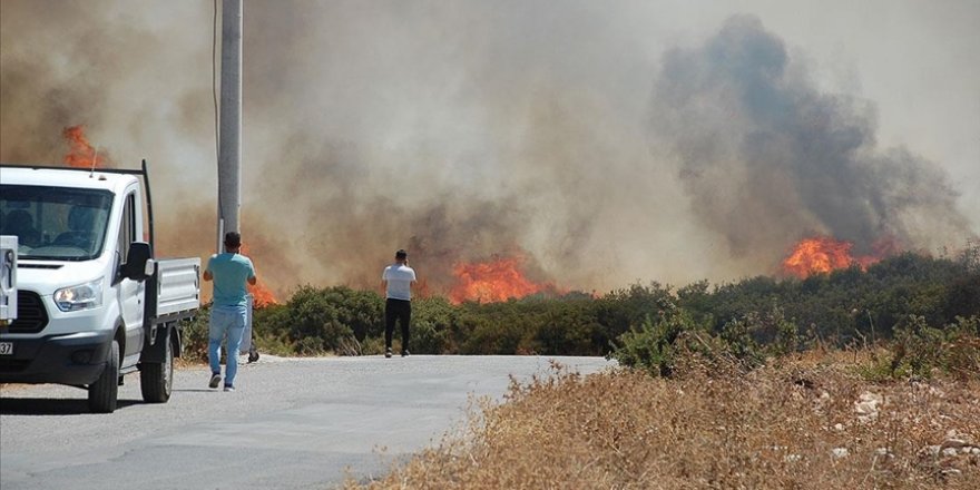 Didim'de makilik alanda yangın çıktı