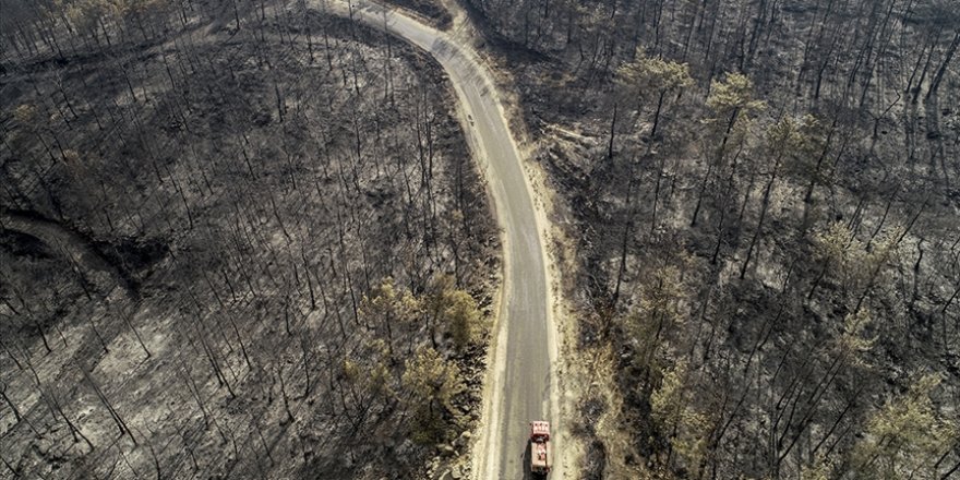 Cumhurbaşkanı Erdoğan: Orman yangınlarından etkilenen alanlar 'Genel Hayata Etkili Afet Bölgesi' ilan edildi