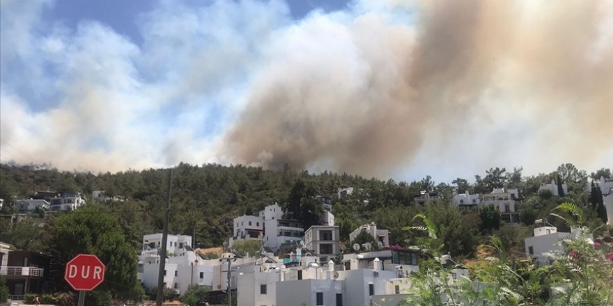 Bodrum'da makilik ve ormanlık alanda çıkan yangına müdahale ediliyor