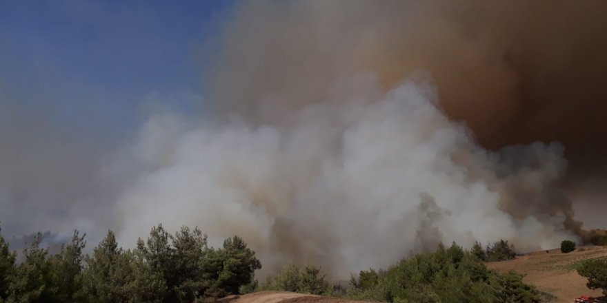 Adana'da orman yangını