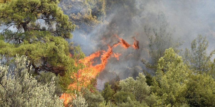 İYİ Parti'den yangınlarla ilgili kanun teklifi