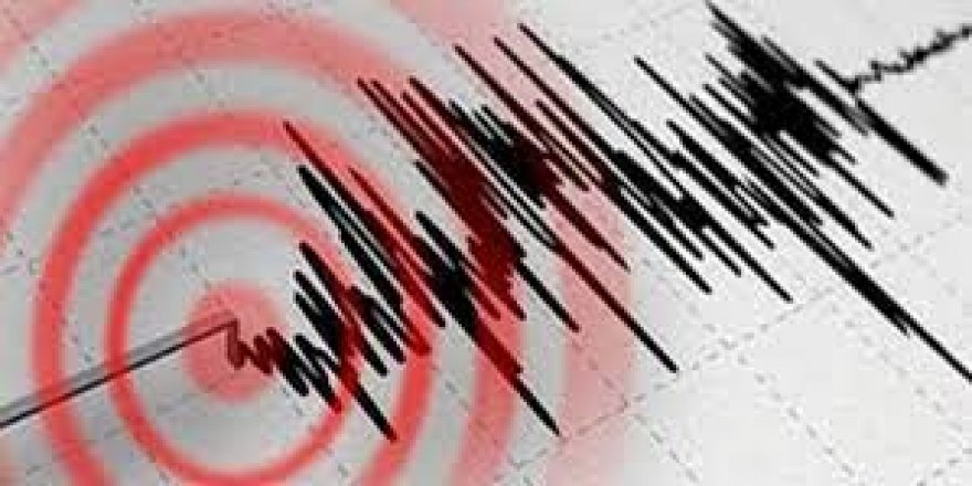 Ege'de 4,9 büyüklüğünde deprem