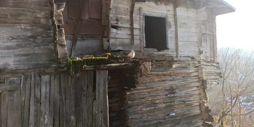 Üç engelli çocuğu ile harabede yaşayan aileye İYİ Parti’den yardım eli