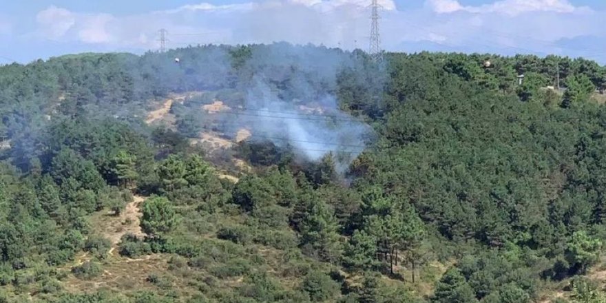 İstanbul'da orman yangını