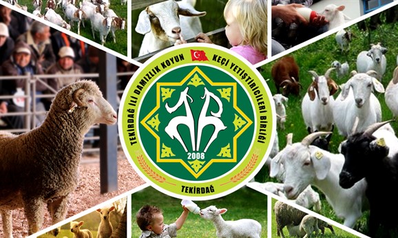 Koyun Keçi Yetiştiricileri Birliği duyurdu