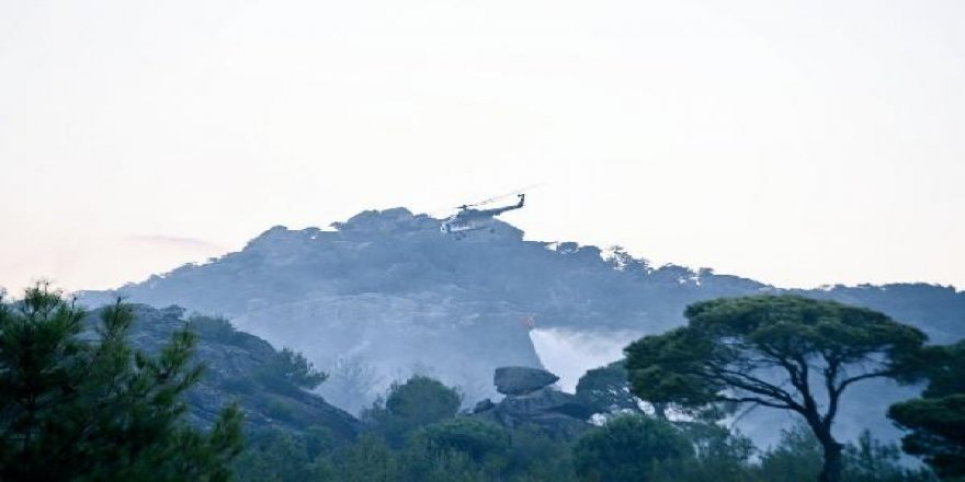 Aydın'daki orman yangını kontrol altında