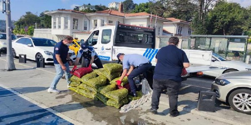 Sarıyer'de kaçak avlanan 1 ton midye ele geçirildi