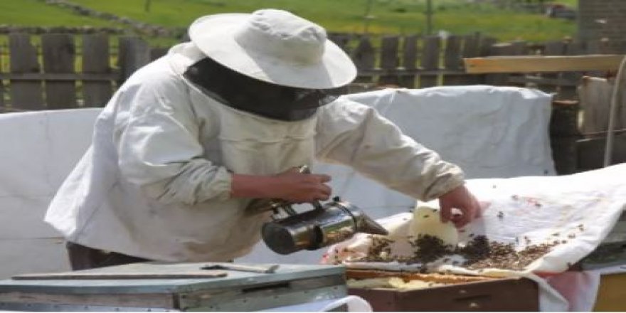 Dünyaca ünlü Anzer balının kilo satış fiyatı 1200 TL olarak belirlendi