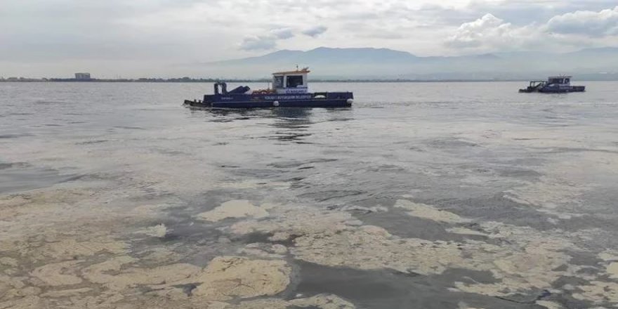Prof. Dr. Sevim Polat’tan Akdeniz için “kahverengileşiyor” uyarısı geldi