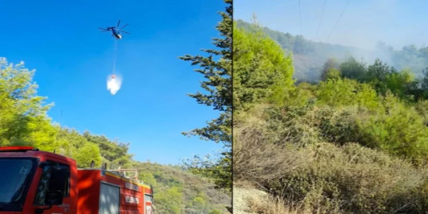 Hatay'da korkutan orman yangını