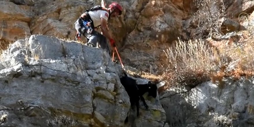 Kayalıklarda mahsur kalan iki keçi böyle kurtarıldı
