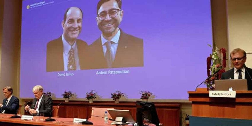 2021 Nobel Tıp Ödülü'nün kazananlar açıklandı