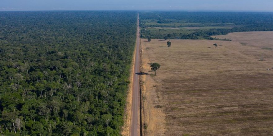 Facebook, Amazon Ormanları’nda arazi satışı ilanlarını yasakladı